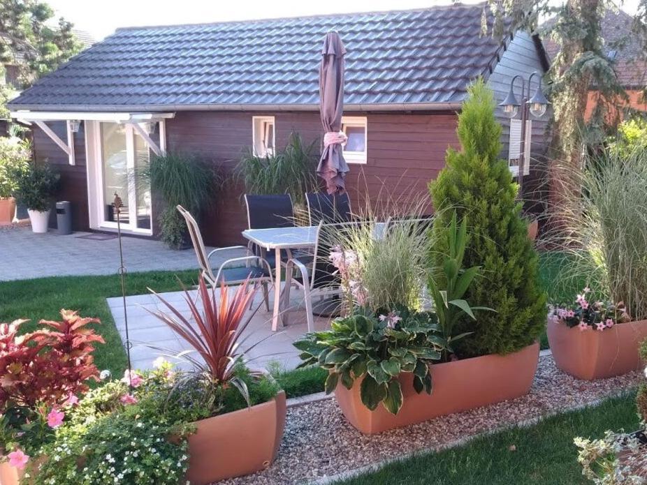 Gites Le P'Tit Paradis Du Ried Sundhouse Bagian luar foto